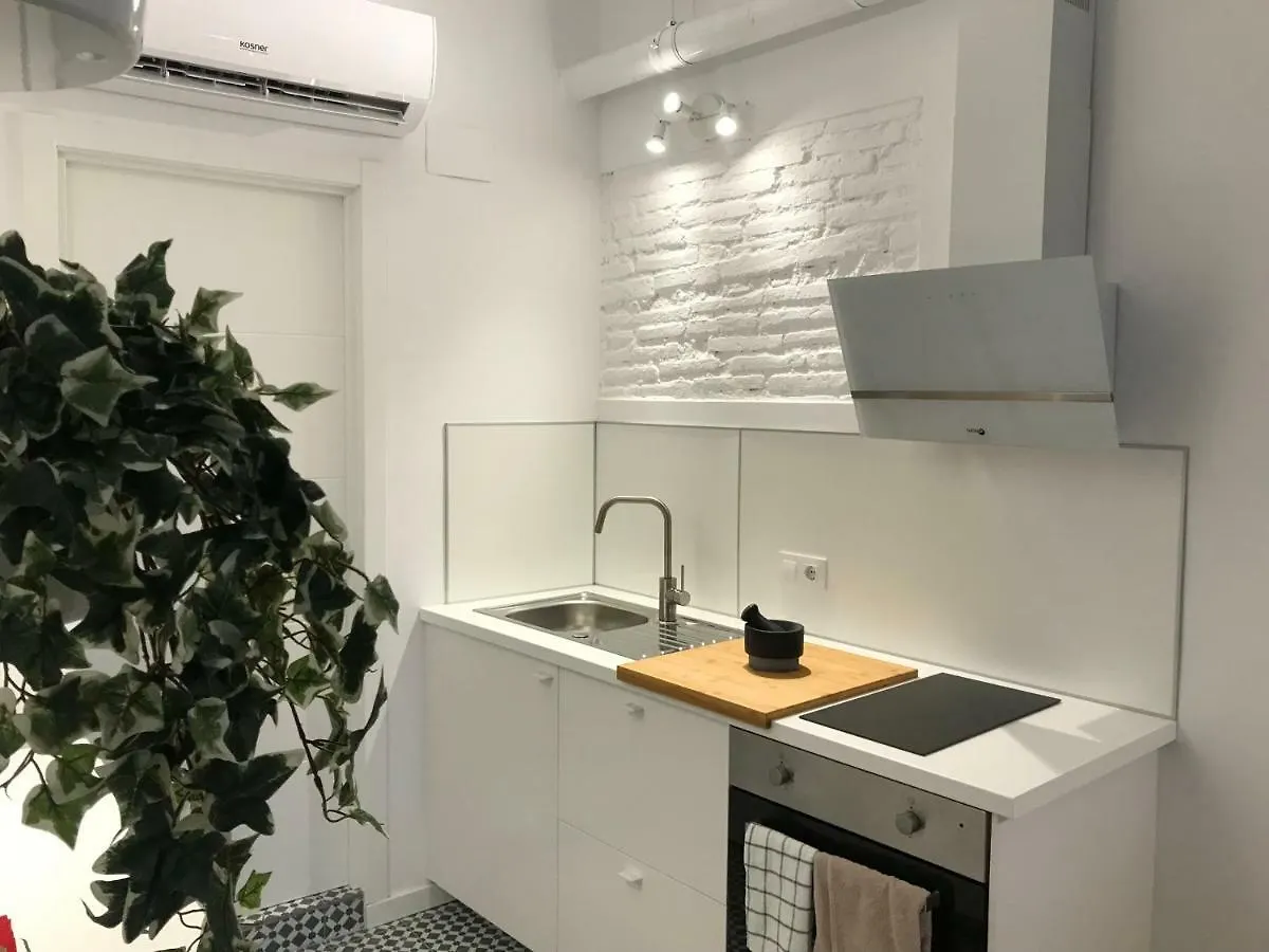 Lovely Apartments At Roman Circus Tarragona 0*,  Spain